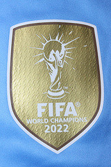 with FIFA World Champions 2022 Patch+Copa America Patch Fan Version Argentina 2024 Soccer Jersey Blue Football Shirt