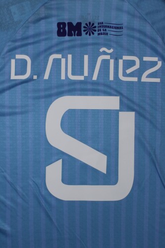 Fan Version Uruguay 2024 D.NUNEZ 9 Home Soccer Jersey Football Shirt
