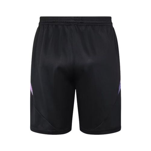 Fan Version 2024 Germany Black/Purple Soccer Training Shorts