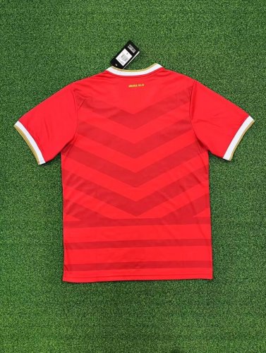 Fans Version 2024-2025 Panama Special Edition Red Soccer Jersey Football Shirt