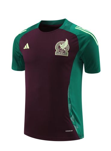 Fan Version Mexico 2024 Dark Red/Green Soccer Training Jersey Adulto Camiseta de Futbol