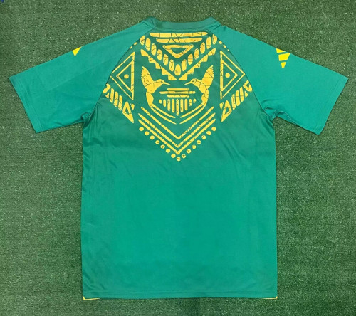 Fan Version 2024 Jamaica Green Soccer Training Jersey Football Pre-match Shirt