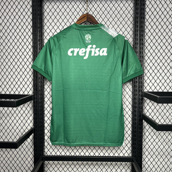 Fan Version 2024-2025 Palmeiras Green Special Edition Soccer Jersey Football Shirt