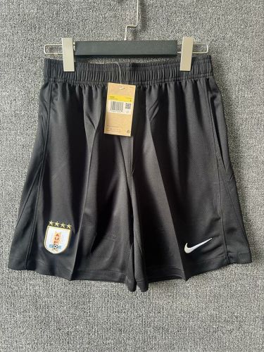 Fan Version Uruguay 2024-2025 Home Soccer Shorts Football Shorts