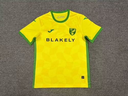 Fans Version 2024-2025 Norwich City Home Soccer Jersey Football Shirt