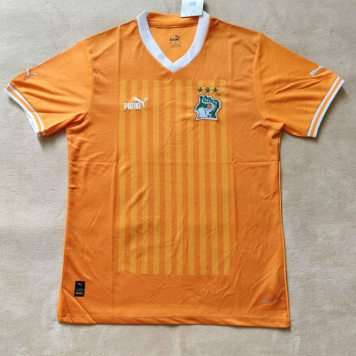 Fan Version Ivory Coast Football Shirt 2024-2025 Côte d'Ivoire Home Soccer Jersey