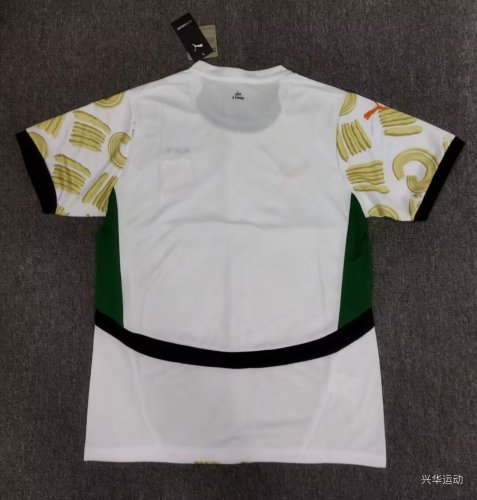 Fan Version 2024-2025 Ivory Coast Away Soccer Jersey Côte d'Ivoire Football Shirt