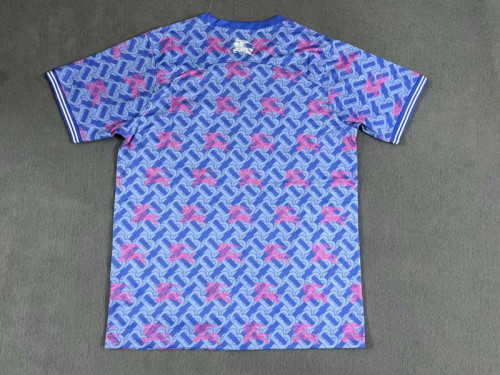 Fan Version 2024-2025 Chelsea Blue/Pink Soccer Training Jersey Football Pre-match Shirt