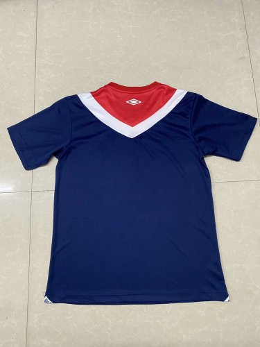 Fan Version 2024-2025 Fluminense 120th Anniversary Soccer Jersey Football Shirt