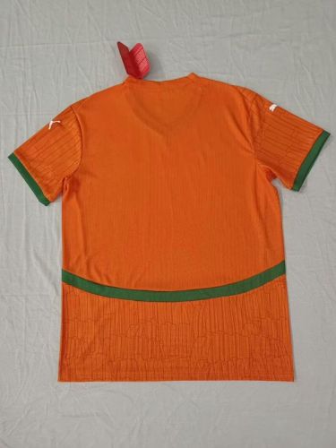 Fan Version 2025 Ivory Coast Home Soccer Jersey Côte d'Ivoire Football Shirt