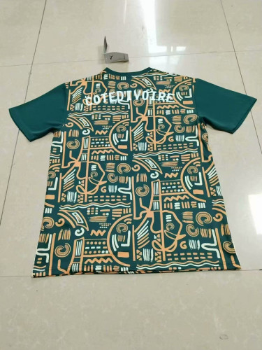 Fan Version 2025 Ivory Coast Green Soccer Training Jersey Côte d'Ivoire Football Pre-match Shirt