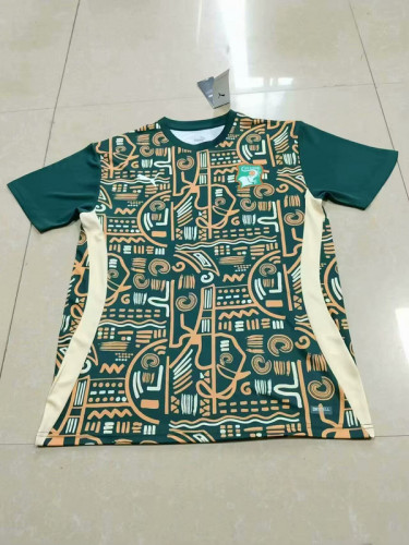 Fan Version 2025 Ivory Coast Green Soccer Training Jersey Côte d'Ivoire Football Pre-match Shirt
