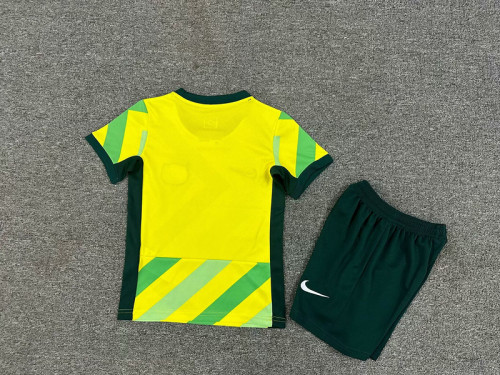 Youth Uniform Kids Kit 2025 Australia Home Soccer Jersey Shorts Côte d'Ivoire Child Football Set