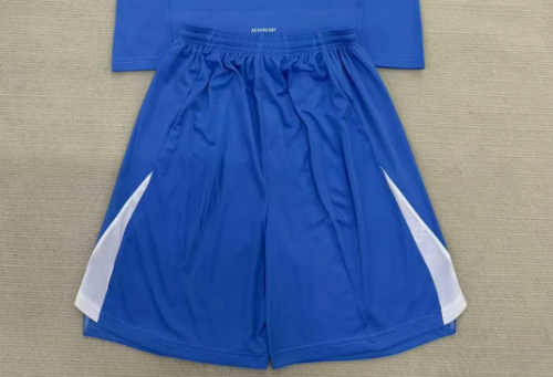 Fan Version 2025-2026 Juventus Blue Goalkeeper Soccer Shorts Football Shorts