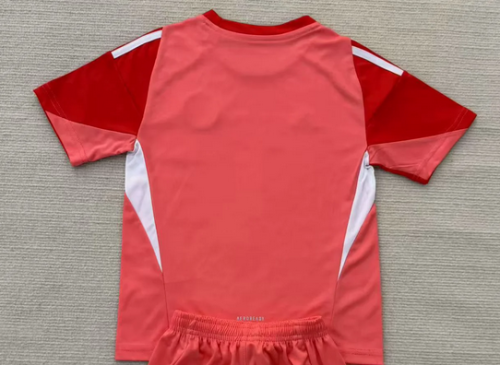 Fan Version 2025-2026 Inter Miami Red Goalkeeper Soccer Jersey Football Shirt
