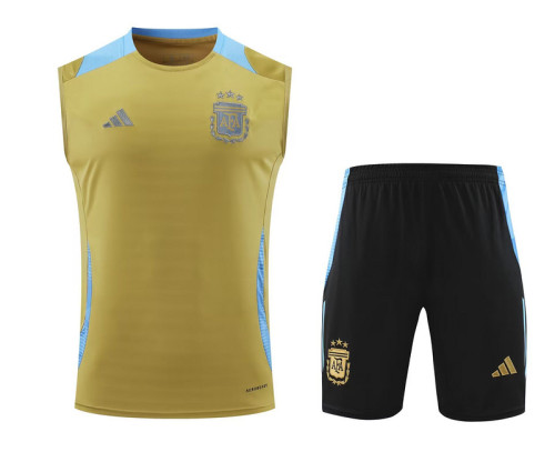 Adult Uniform 2025-2026 Argentina Gold/Blue Soccer Training Vest and Shorts Football Set