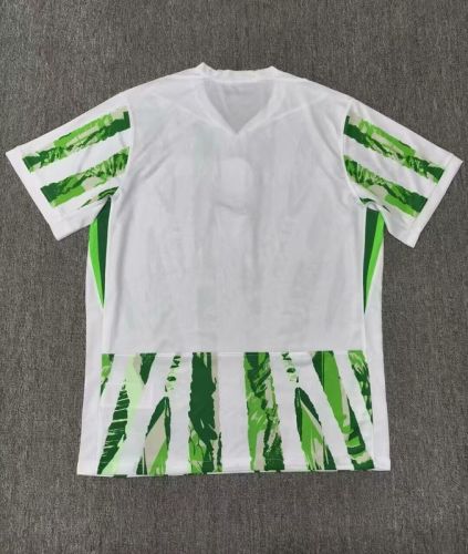 Fan Version 2025-2026 Nigeria Home Soccer Jersey Football Shirt