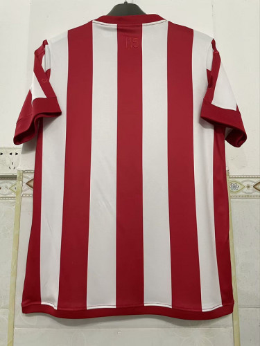 Fan Version 2025-2026 Chivas 115th Anniversay Soccer Jersey Football Shirt