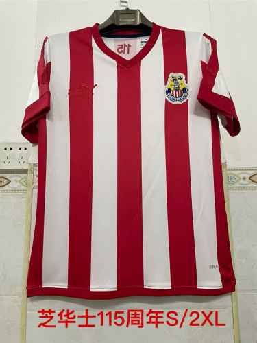 Fan Version 2025-2026 Chivas 115th Anniversay Soccer Jersey Football Shirt