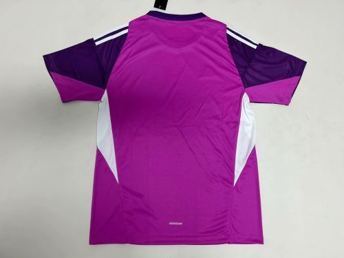 Fan Version 2025-2026 Chivas Purple Goalkeeper Soccer Jersey Football Shirt