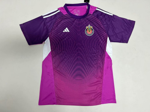 Fan Version 2025-2026 Chivas Purple Goalkeeper Soccer Jersey Football Shirt