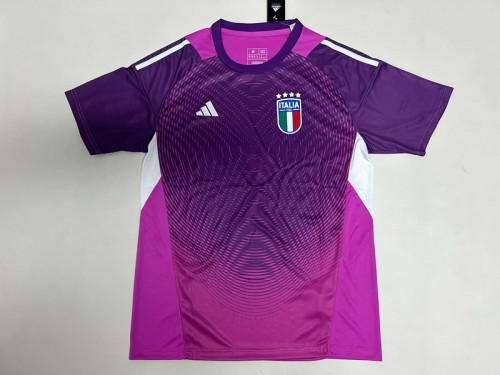 Fans Version 2025 Italy Purple Goalkeeper Soccer Jersey Football Shirt