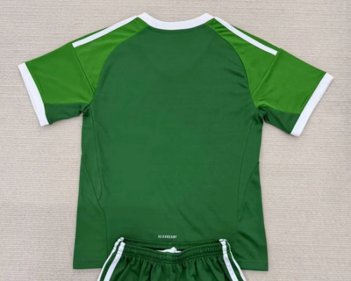 Fan Version 2025 Mexico Green Goalkeeper Soccer Jersey Football Shirt
