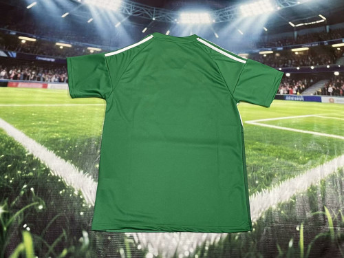 Fan Version 2025-2026 Newcastle United Away Green Soccer Jersey Football Shirt