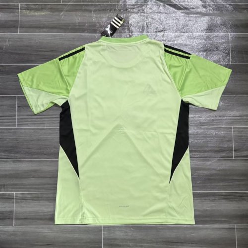 Fan Version 2025-2026 Newcastle United Light Green Goalkeeper Soccer Jersey Football Shirt