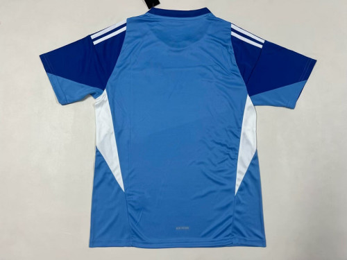 Fan Version 2025-2026 Chivas Blue Goalkeeper Soccer Jersey Football Shirt