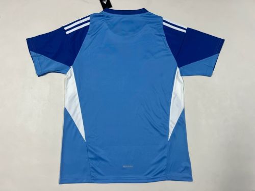 Fan Version 2024-2025 Venezuela Blue Goalkeeper Soccer Jersey Football Shirt