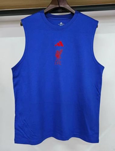 Fan Version 2025-2026 Liverpool Cotton Soccer Training Vest