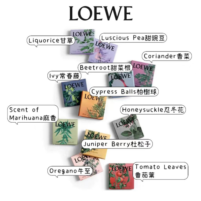 Loewe羅意威 香氛蠟片禮盒（11片入） Home Scents高級小眾香調 車用香氛 衣櫃香氛 香薰蠟片 送禮