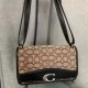 Coach (コーチ)バッグ新作  新型 潮流 気質 独特の風格を持つ 上品で気前がいい