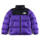 The North face（ノースフェイス）コート 人気22s
