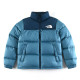 The North face（ノースフェイス）コート 人気22s