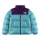 The North face（ノースフェイス）コート 人気22s