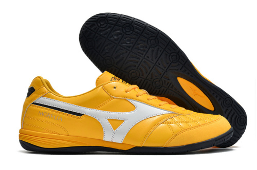 Mizuno Morelia Sala Japan IC