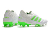 adidas Copa 19.1 FG
