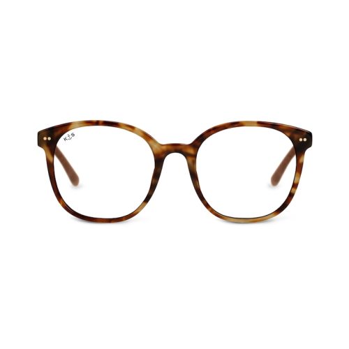 Nairobi Havana Tortoise