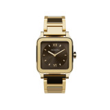 Yearn Gold Brown Bold Steel