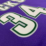 22-23 BUCKS ANTETOKOUNMPO #34 Purple Top Quality Hot Pressing NBA Jersey (Retro Logo)