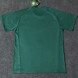 2023 Palmeiras Green Training shirts