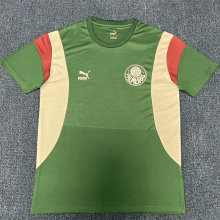 23-24 Palmeiras Green Training shirts