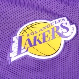 2020 NBA Los Angeles Lakers Violet Full Zip hoodie Tracksuit