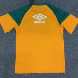 23-24 Fluminense Orange Green Training shirts