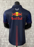 2023 F1 Red Bull Number 11 Driver New Pattern Short Sleeve Racing Suit