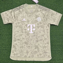 23-24 Bayern Grey Green Special Edition Fans Soccer Jersey
