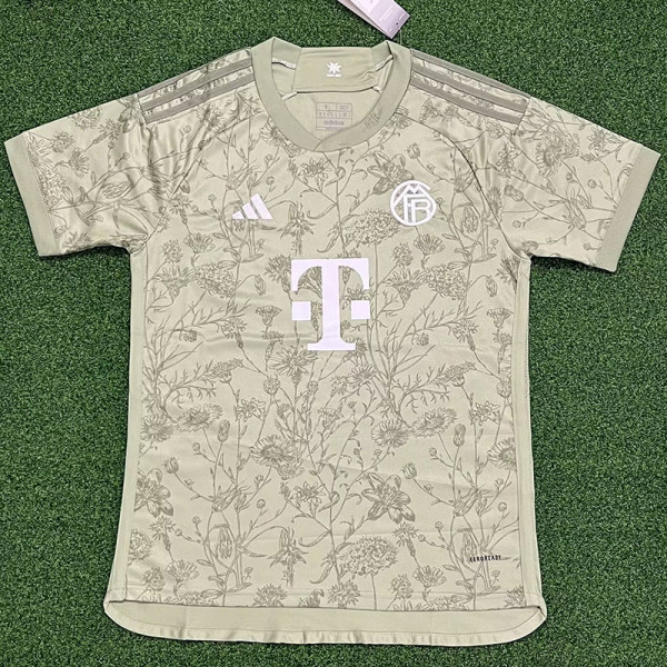 23-24 Bayern Grey Green Special Edition Fans Soccer Jersey