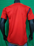 22-23 Spain Home World Cup Fans Soccer Jersey